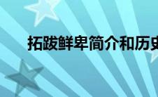 拓跋鲜卑简介和历史（拓跋鲜卑简介）