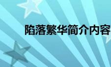 陷落繁华简介内容（陷落繁华简介）