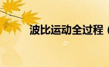 波比运动全过程（波比运动简介）