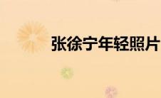 张徐宁年轻照片（张徐宁简介）