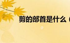 剪的部首是什么（剪的部首是啥）