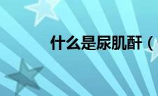什么是尿肌酐（什么是尿沉渣）