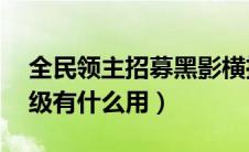 全民领主招募黑影横推无敌（dota2 招募等级有什么用）