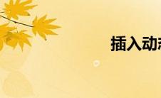 插入动态图表