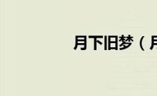 月下旧梦（月下梦简介）