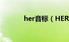 her音标（HER STORY简介）