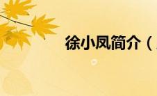 徐小凤简介（周兆达简介）