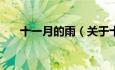 十一月的雨（关于十一月的雨的介绍）