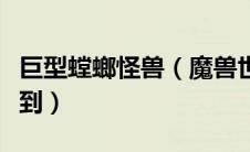 巨型螳螂怪兽（魔兽世界巨型螳螂虾哪里能弄到）