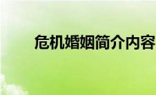 危机婚姻简介内容（危机婚姻简介）