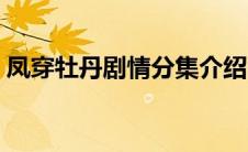 凤穿牡丹剧情分集介绍（凤穿牡丹剧情解析）