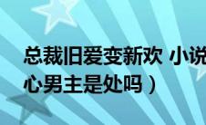 总裁旧爱变新欢 小说（旧爱重提总裁不安好心男主是处吗）
