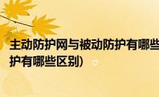 主动防护网与被动防护有哪些区别图片(主动防护网与被动防护有哪些区别)