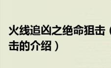火线追凶之绝命狙击（关于火线追凶之绝命狙击的介绍）