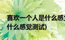 喜欢一个人是什么感觉测试题(喜欢一个人是什么感觉测试)