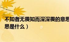 不知者无畏知而深深畏的意思（不知者无畏 知而深深畏的意思是什么）