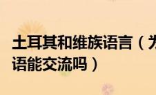 土耳其和维族语言（为什么土耳其语和维吾尔语能交流吗）