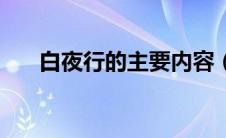 白夜行的主要内容（白夜行的演员表）