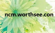 ncm.worthsee.con（See visionS简介）