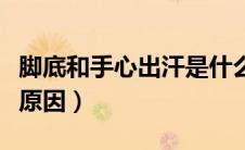 脚底和手心出汗是什么原因（手心出汗是什么原因）