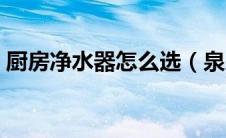 厨房净水器怎么选（泉来厨房净水器怎么样）