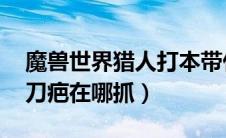 魔兽世界猎人打本带什么宝宝（魔兽世界LR刀疤在哪抓）