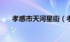 孝感市天河星街（孝感星河天街简介）