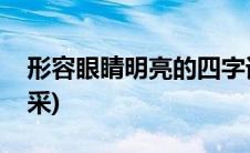 形容眼睛明亮的四字词语(形容眼睛明亮有神采)