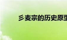 彡麦宗的历史原型（麦宗禹简介）