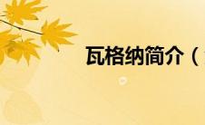 瓦格纳简介（金长勋简介）