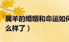 属羊的婚姻和命运如何（属羊的婚姻和命运怎么样了）
