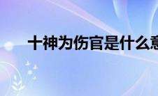 十神为伤官是什么意思（石神伟简介）