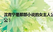 沈青宁是那部小说的女主人公（沈贝贝是那部小说的女主人公）