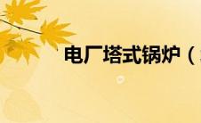 电厂塔式锅炉（塔式锅炉简介）