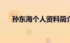 孙东海个人资料简介（玉岩石壶简介）