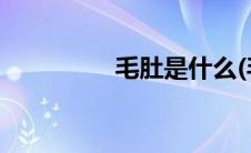 毛肚是什么(毛肚是什么)