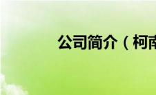 公司简介（柯南之罪途简介）