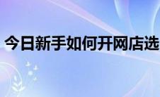 今日新手如何开网店选品（新手如何开网店）