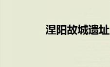 涅阳故城遗址（涅阳简介）