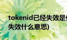 tokenid已经失效是什么意思(tokenid已经失效什么意思)