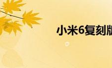 小米6复刻版（小米6）