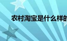 农村淘宝是什么样的(农村淘宝是什么)