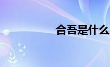 合吾是什么意思(合吾)