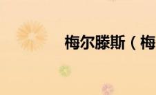 梅尔滕斯（梅尔滕斯简介）