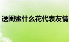 送闺蜜什么花代表友情(送闺蜜什么花比较好)