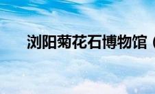 浏阳菊花石博物馆（浏阳菊花石简介）