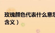 玫瑰颜色代表什么意思（各颜色玫瑰花代表的含义）
