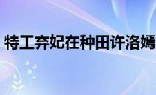 特工弃妃在种田许洛嫣小说（特工弃妃简介）