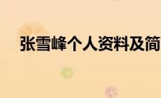 张雪峰个人资料及简介（假面疑云简介）