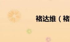 褚达维（褚达晨简介）